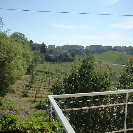 Dolci Colline * Offida