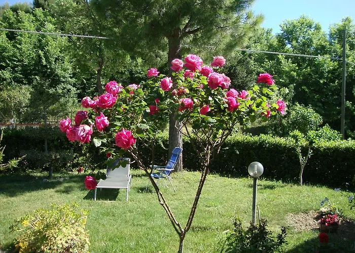 Dolci Colline * Offida